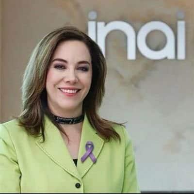 Instituciones autónomas son centrales en la democracia: Inai Instituciones autónomas son centrales en la democracia: Inai