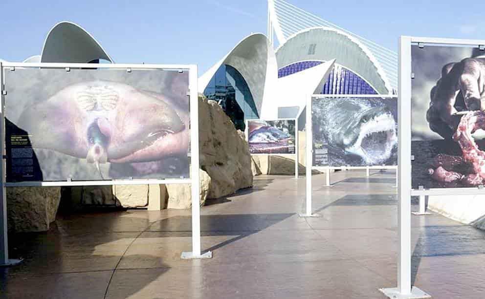 Expone estudiante del IPN obra fotográfica