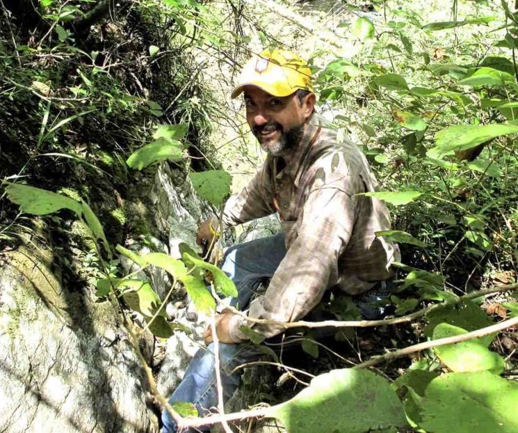 Descubren cordillera de la era paleozoica Descubren cordillera de la era paleozoica