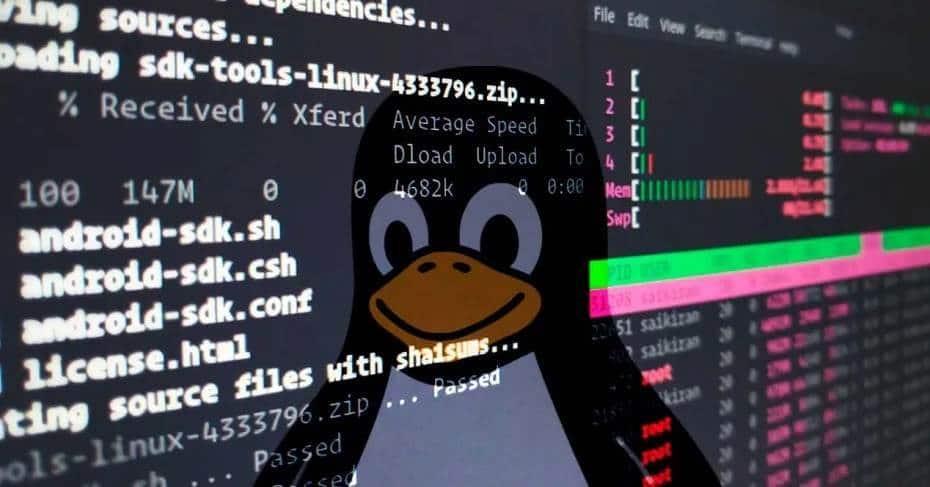 Este fallo en Linux permite a cualquiera ser root desde hace