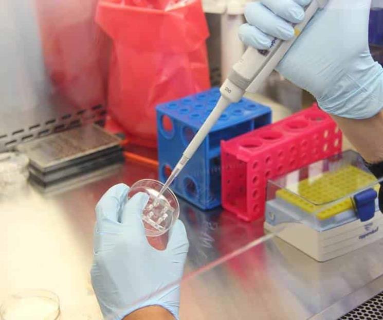 Detectan 4 casos de nueva cepa en Jalisco Detectan 4 casos de nueva cepa en Jalisco