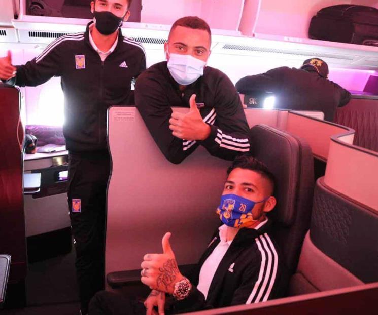 Entre regaños y turbulencias los felinos llegan a Qatar