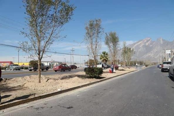 Supervisan acciones de reforestación en García