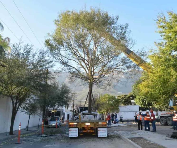 Buscan tener mejores áreas verdes en SP