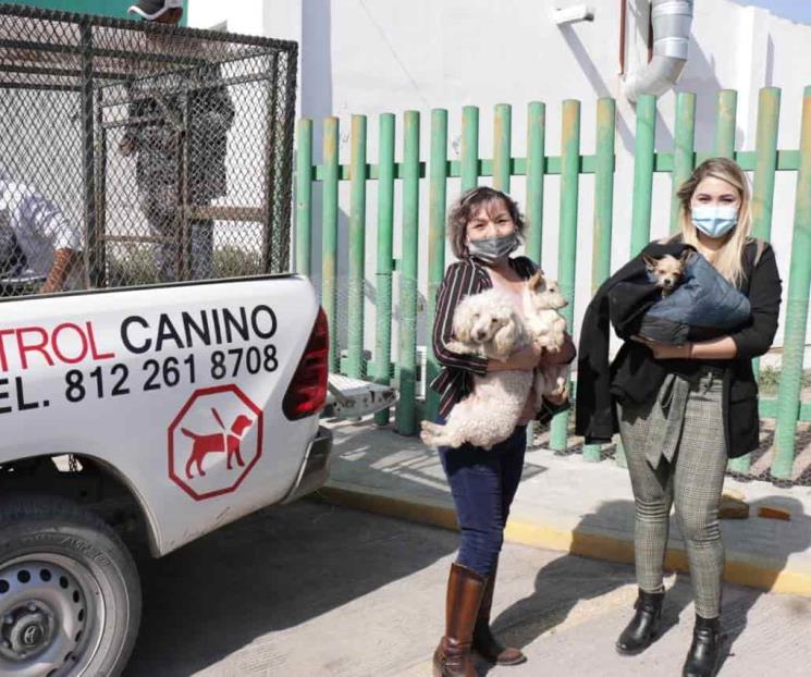 Inician construcción de Centro de Bienestar Animal en Juárez