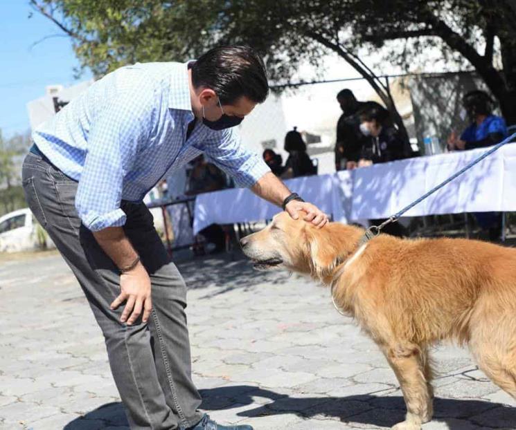 Se reúne Cienfuegos con activistas en pro del cuidado animal