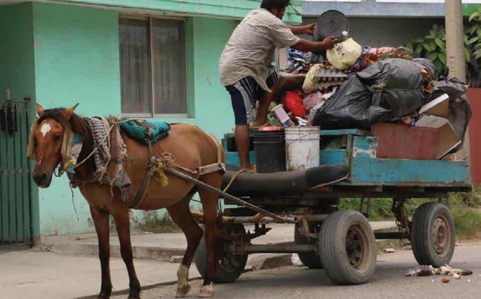Buscan un trato digno para los animales Buscan un trato digno para los animales