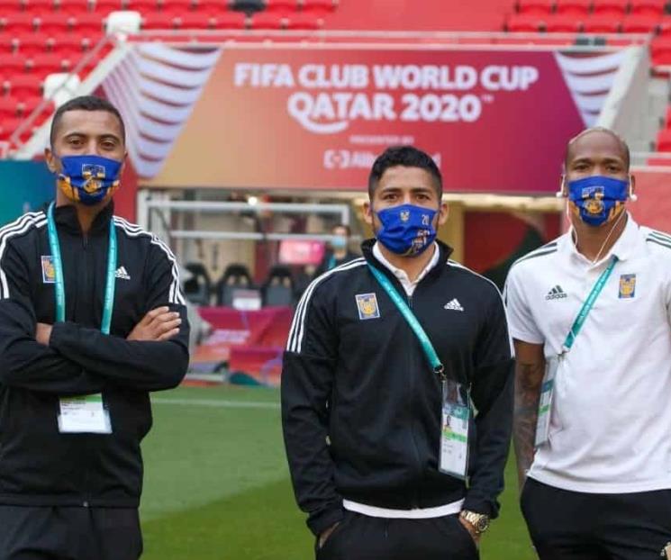Felinos hacen reconocimiento de cancha