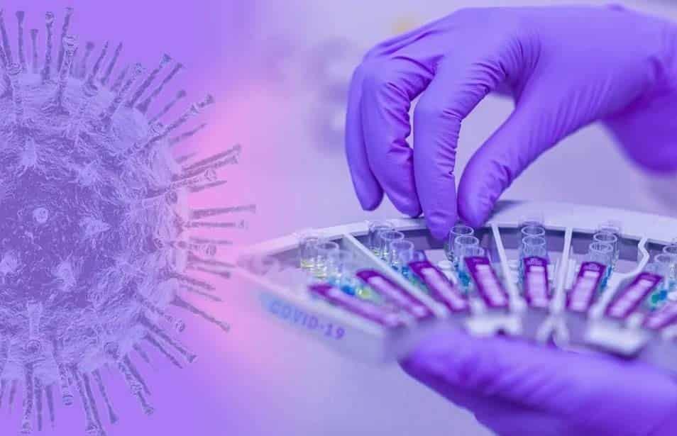 Prenden alerta en Europa certificados PCR falsos Prenden alerta en Europa certificados PCR falsos