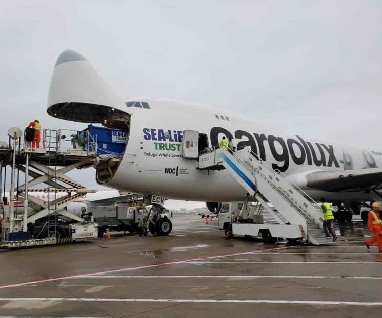 AFAC: transporte de carga vía aérea cayó 37% en 2020