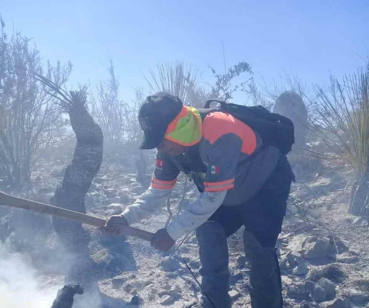 Combaten incendio forestal en Dr. Arroyo