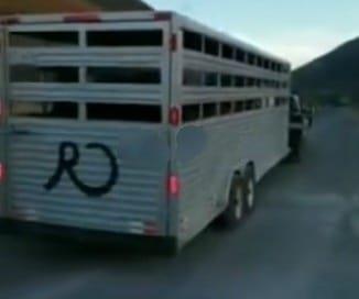 Comando armado roba caballos a empresarios Comando armado roba caballos a empresarios