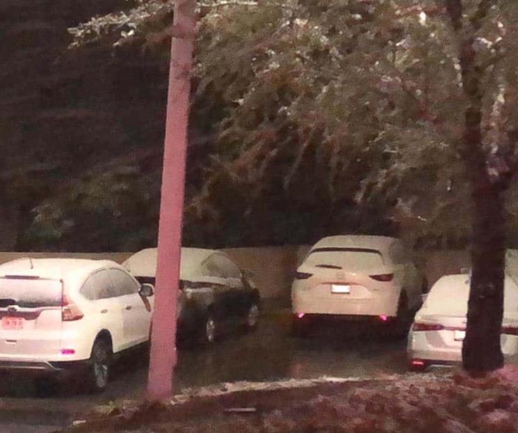 Llega nieve al área metropolitana
