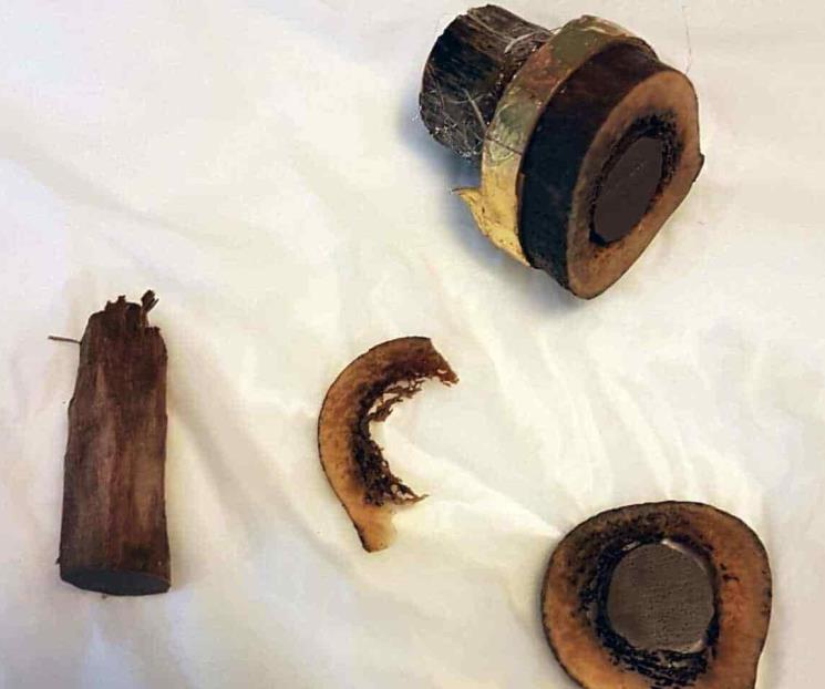 Reliquia de Santiago el Menor es falsa Reliquia de Santiago el Menor es falsa