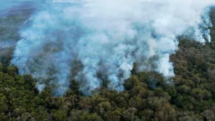Combaten por tierra y aire incendio en ejido de Zaragoza Combaten por tierra y aire incendio en ejido de Zaragoza