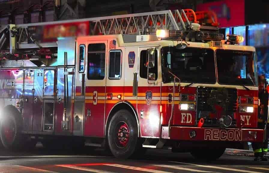 Mueren al menos 100 animales en incendio de tienda en EU Mueren al menos 100 animales en incendio de tienda en EU