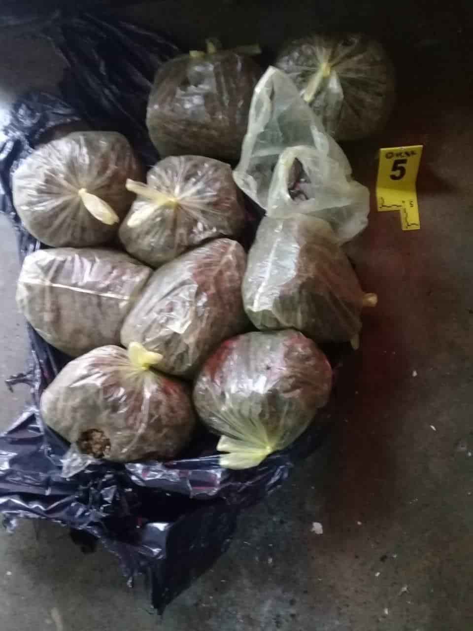 Realizaron un cateo en un domicilio, hallando droga y un arma de fuego