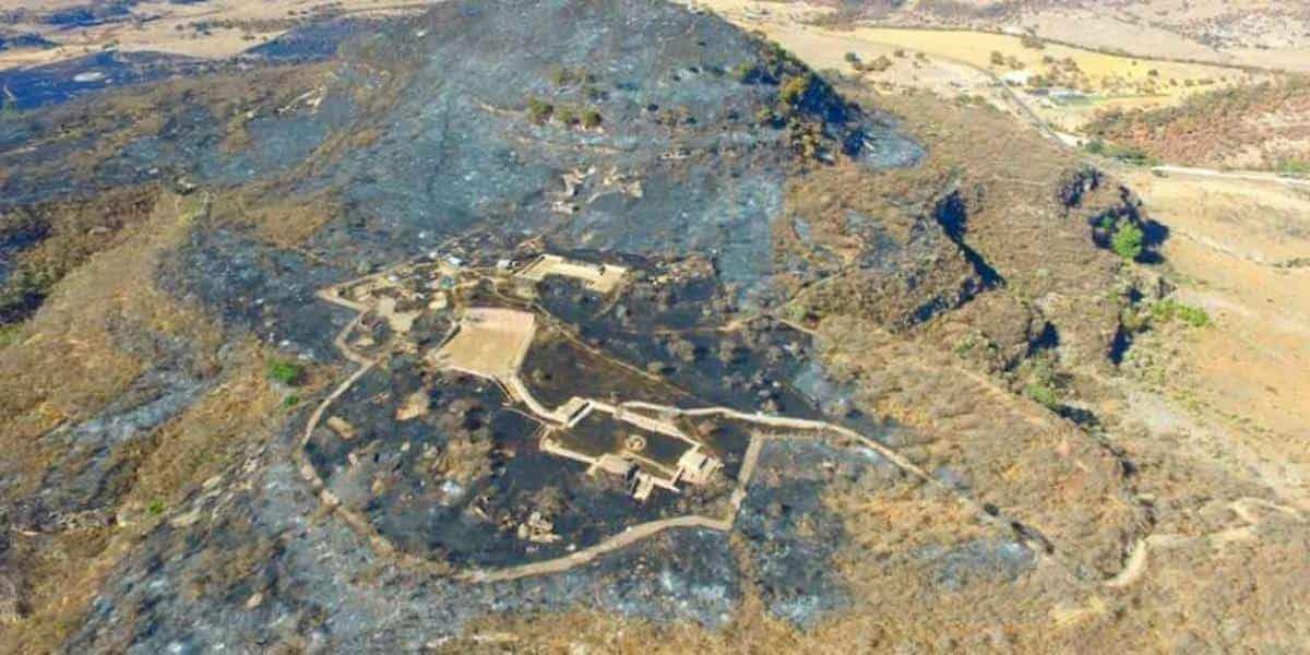 Incendio en Zacatecas alcanzó a zona arqueológica Incendio en Zacatecas alcanzó a zona arqueológica