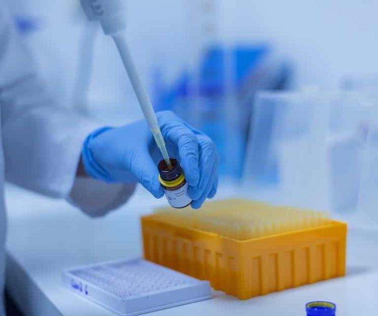 Anticuerpos generados por Covid-19 durarían sólo 2 ó 3 meses Anticuerpos generados por Covid-19 durarían sólo 2 ó 3 meses