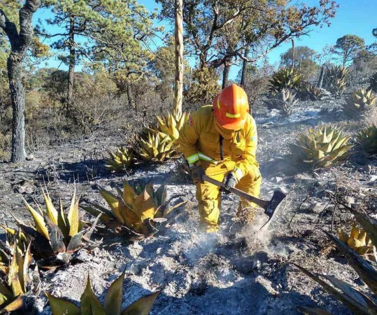 Combaten incendios forestales en Zaragoza Combaten incendios forestales en Zaragoza