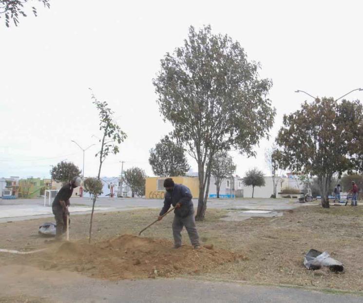 Siguen sembrando árboles autoridades apodaquenses Siguen sembrando árboles autoridades apodaquenses