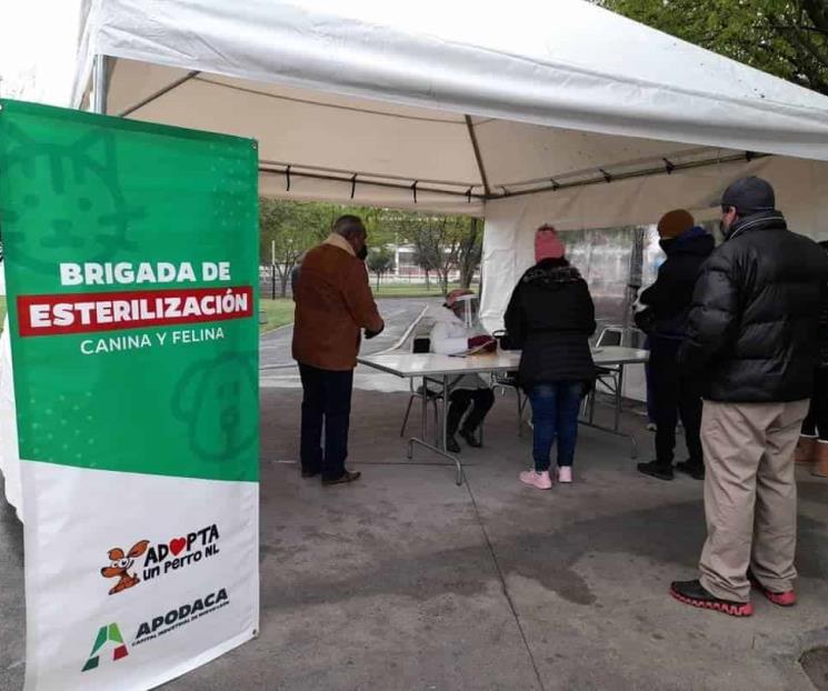 Fomentan en Apodaca tenencia responsable de mascotas Fomentan en Apodaca tenencia responsable de mascotas