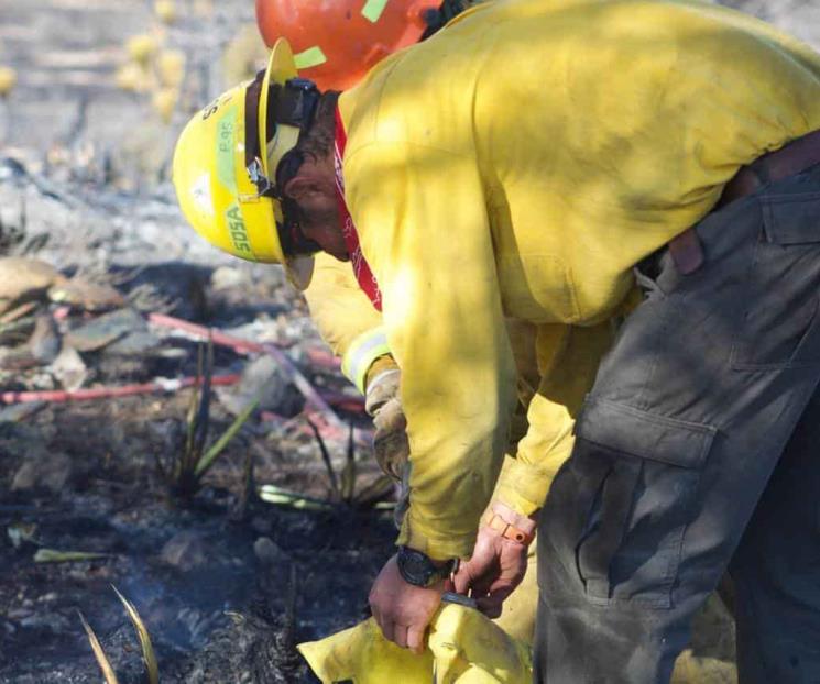 Controlan incendio forestal en Galeana Controlan incendio forestal en Galeana