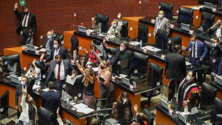 Pelean en el Senado por discusión de reforma eléctrica Pelean en el Senado por discusión de reforma eléctrica