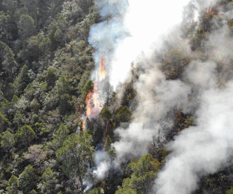 Tras el frío, advierte PC: ¡Aguas con los incendios! Tras el frío, advierte PC: ¡Aguas con los incendios!