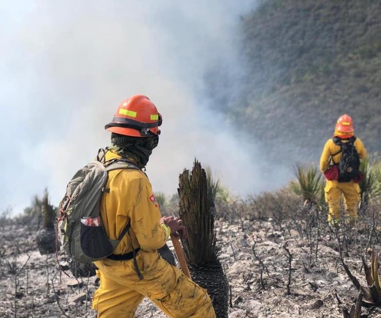 Controlan incendio forestal en Santiago