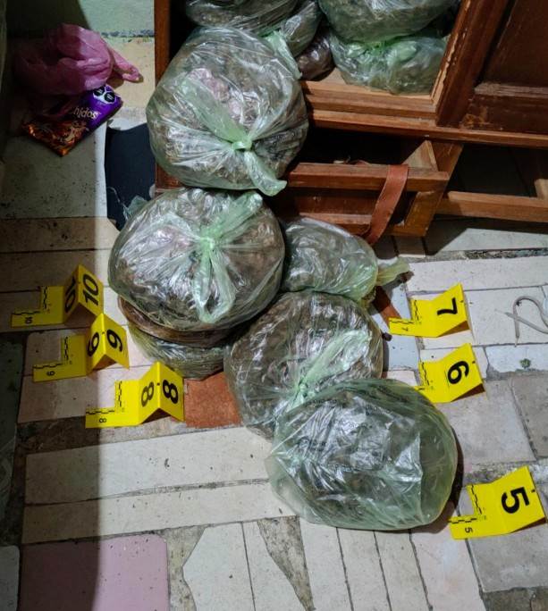 Al menos 45 kilos de hierba verde con las características de la marihuana, una báscula, así como una libreta con diferente información, fue lo asegurado por elementos de la ministerial en un cateo