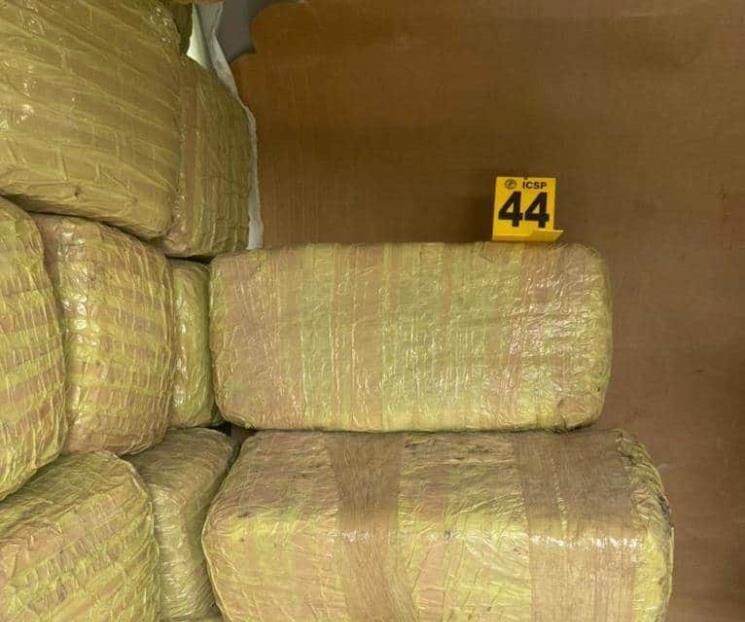 Aseguran 1.1 toneladas de mariguana