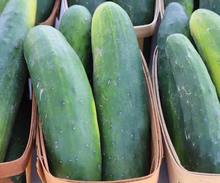 Conoce los beneficios del jugo de pepino