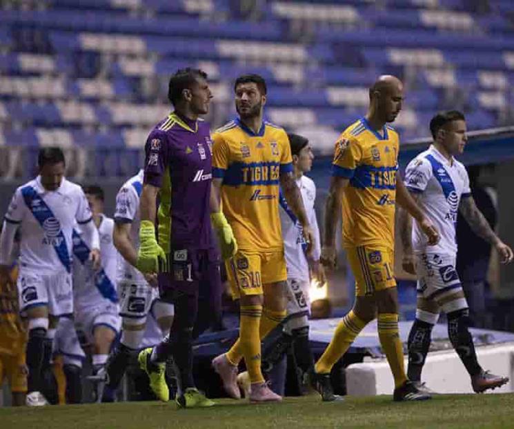 Sigue la crisis felina