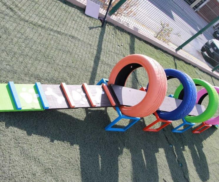 Crea Santa Catarina parque especial para mascotas