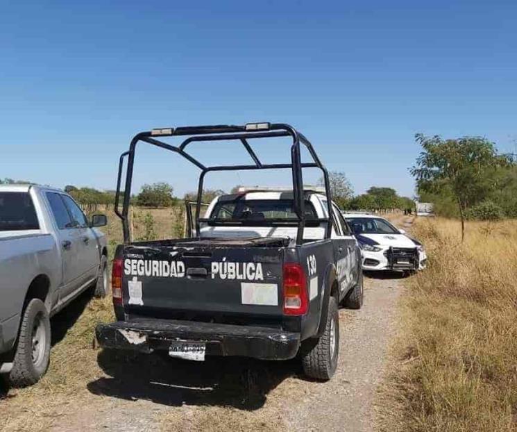 Atrapa trituradora a jornalero