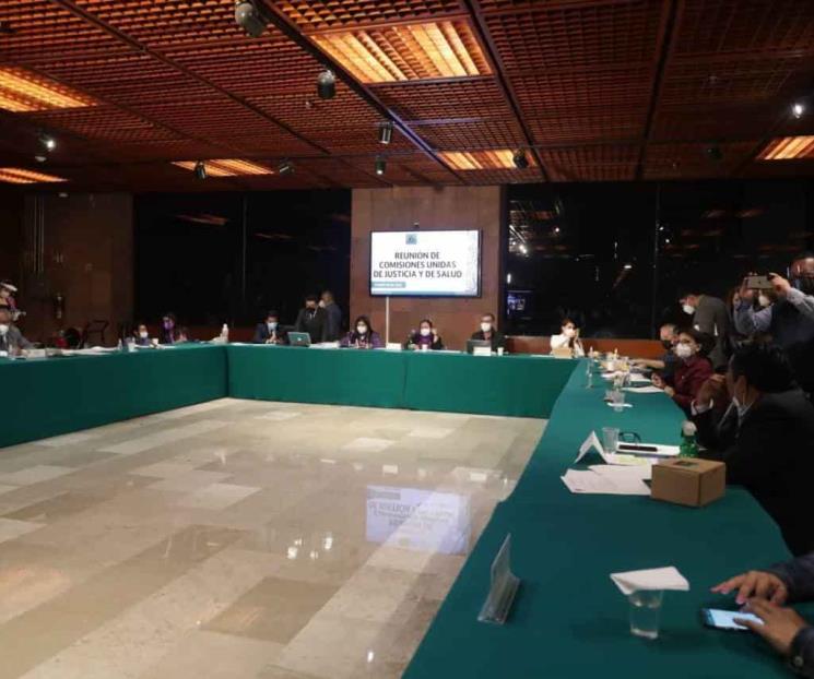 Discuten dictamen para la Regulación del Cannabis Discuten dictamen para la Regulación del Cannabis