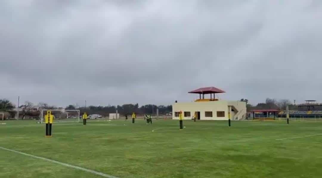 Regresan felinos a entrenamientos