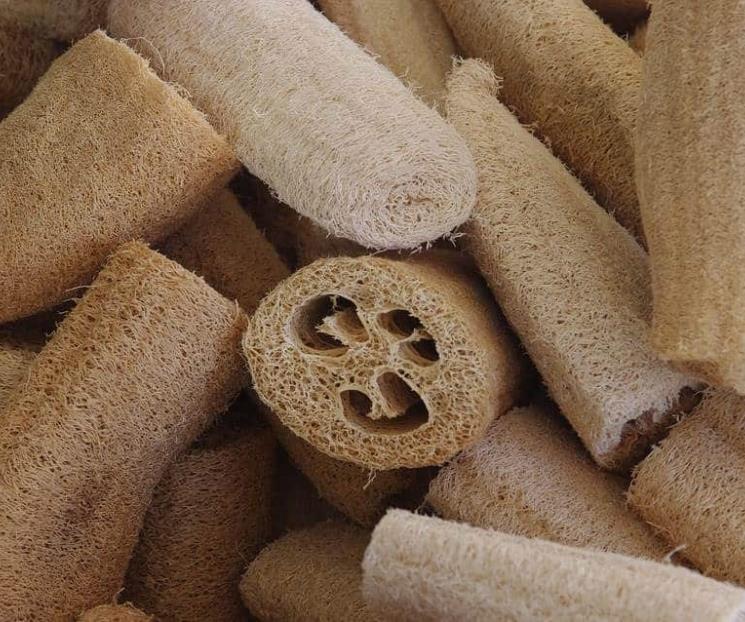 ¿De dónde viene el zacate y cómo usarlo? ¿De dónde viene el zacate y cómo usarlo?