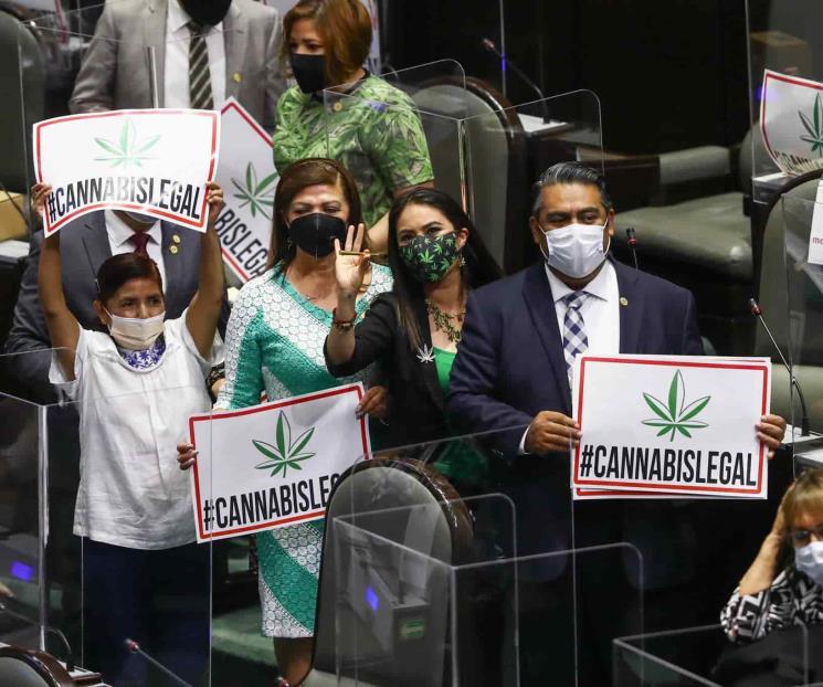 Aprueban diputados uso lúdico de la marihuana