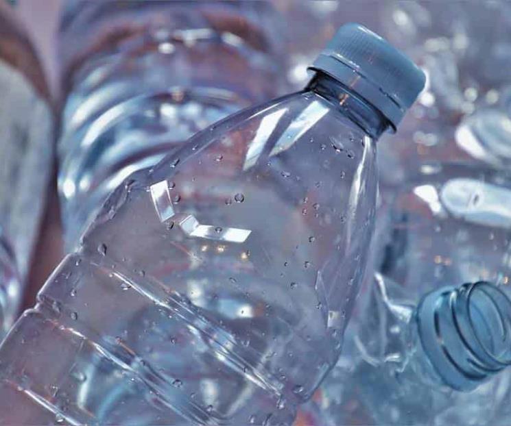 Sustancia de plásticos produce insuficiencia hepática