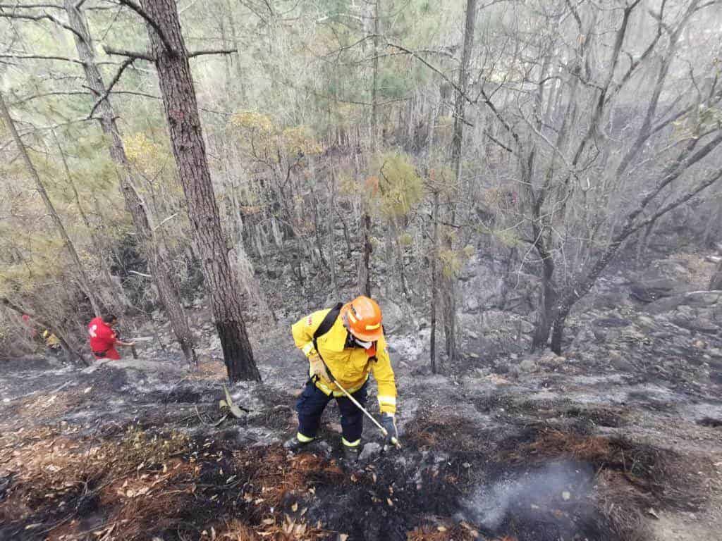 Más de 120 brigadistas, dos helicópteros y unidades todo terreno se despliega para el combate de tres incendios forestales en el municipio de Galeana