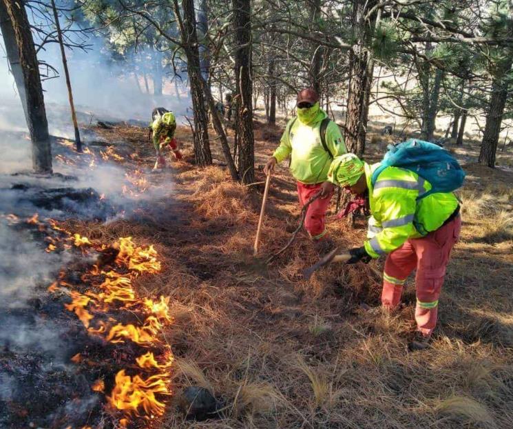 Reanuda PC combate de tres incendios en Galeana Reanuda PC combate de tres incendios en Galeana