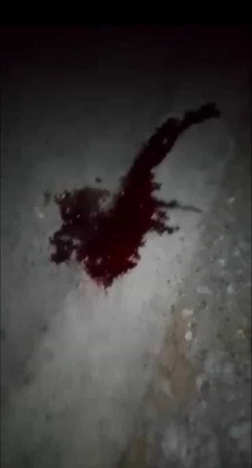 Caen a registro de Agua y Drenaje