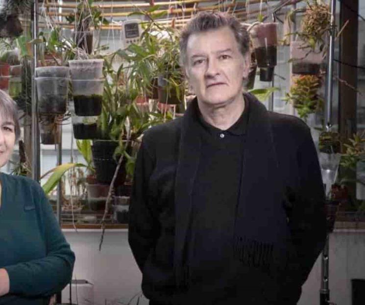 El Pritzker, a la arquitectura sustentable