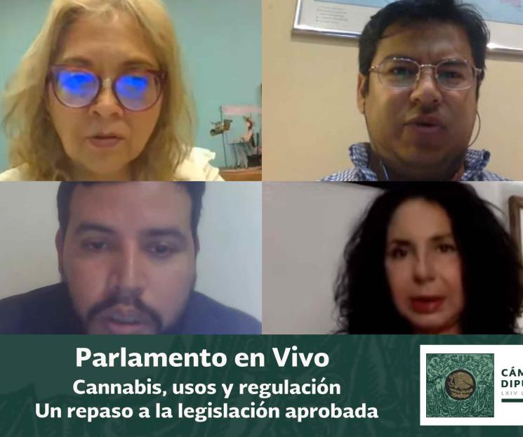 Regular cannabis detonará economía y combatirá delincuencia
