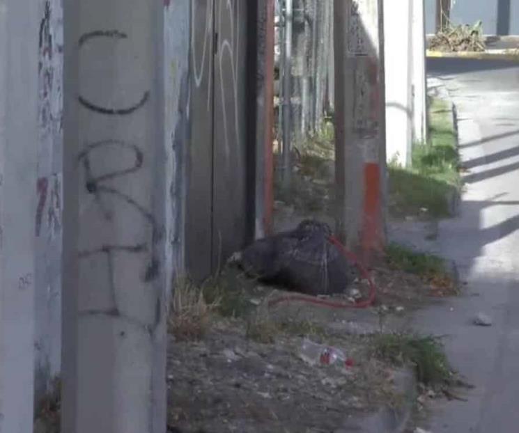 Alarma bolsa con restos...de animal