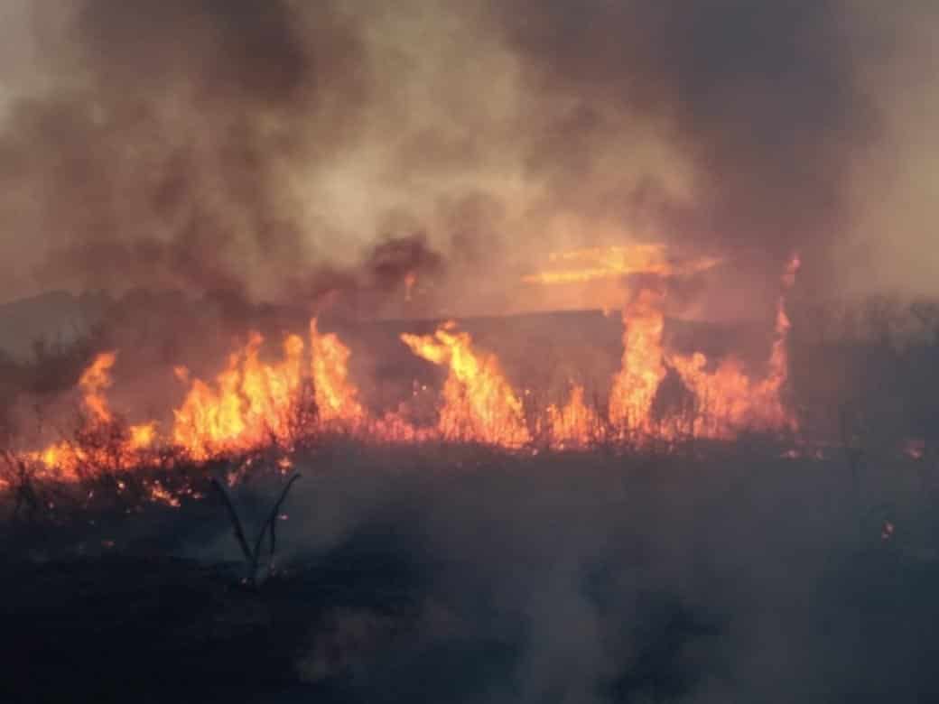 Reportaron un siniestro en un predio baldío de la colonia Paseo de Santa Rosa