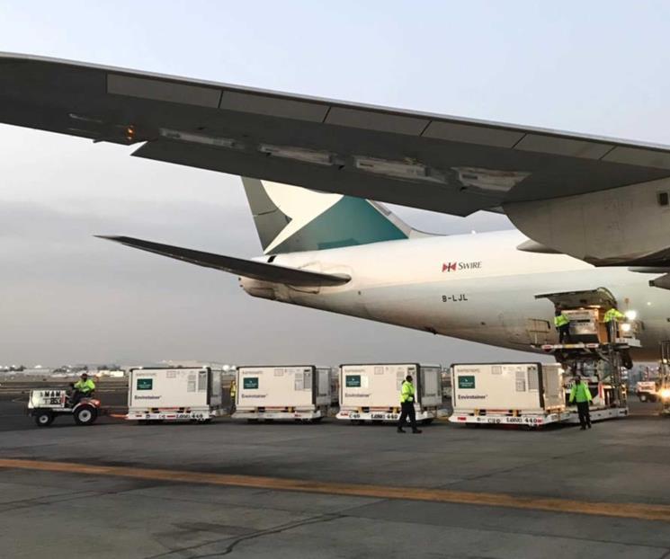 Necesario notificar reacciones adversas en vacunación: BM