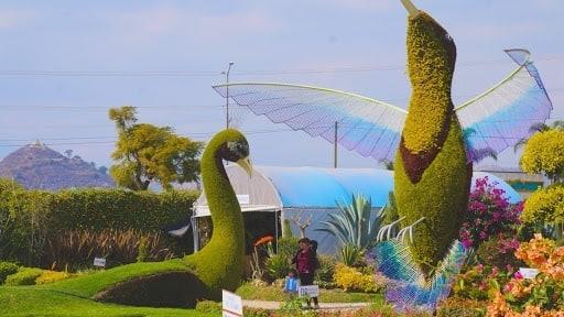 Cuánto cuesta visitar el Jardín Mágico de Atlixco en 2021